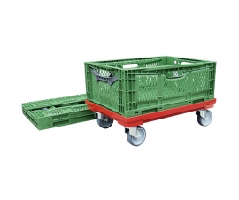 Folding Container on Dolly