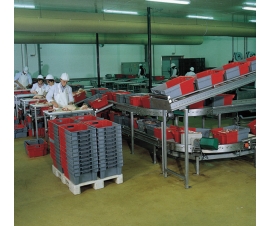 Euro Stacking and Nesting Containers