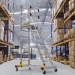 Steps In Warehouse